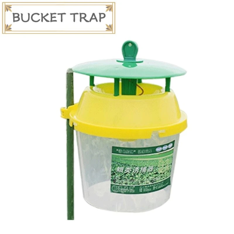 Bucket Funnel Trap