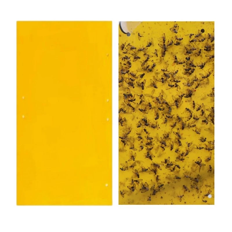 Insect Sticky Trap Board