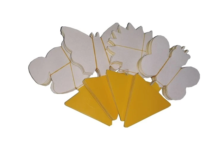 Multi-Sized Sticky Trap For Gnat And Flys factory