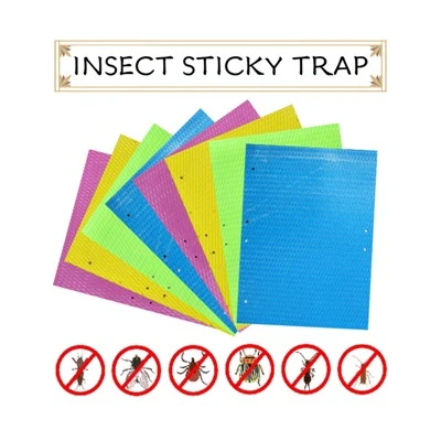 Biodegradable Insect Sticky Trap