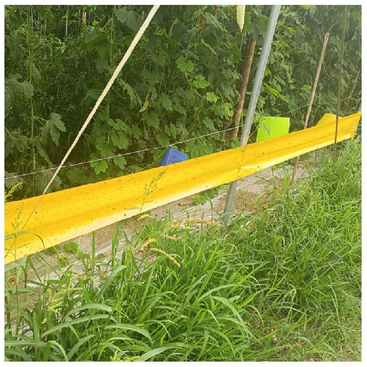 Sticky Insect Tape Pest Control