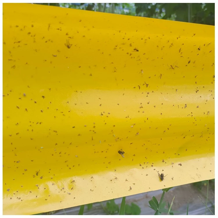 Sticky Insect Tape Pest Control price