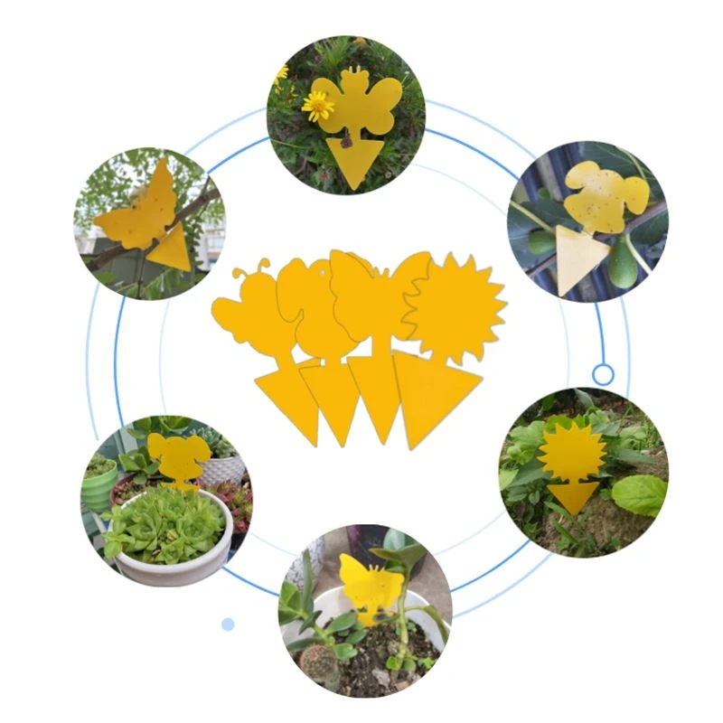 Yellow Sticky Trap in Shapes